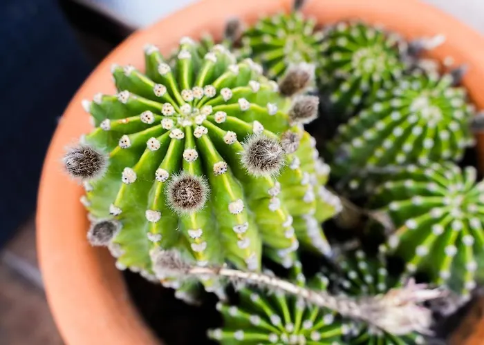 Deluxe 4bdr House W/ Pool By Lovelystay Portimão